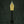 Load image into Gallery viewer, #5 Fountain Pen Nibs