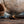 Load image into Gallery viewer, The Arc Edition | Rollerball or Fountain pen made with historic wood.